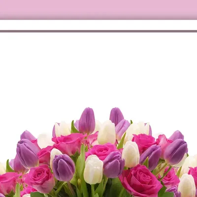 Womens Day